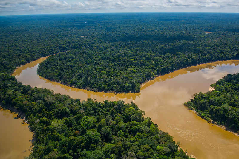 amazon rainforest tours